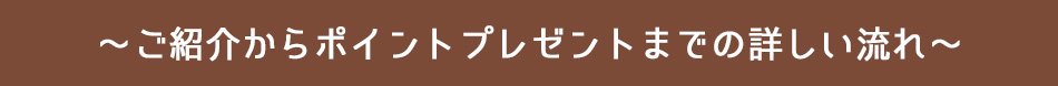 紹介からポイントプレゼントの流れ