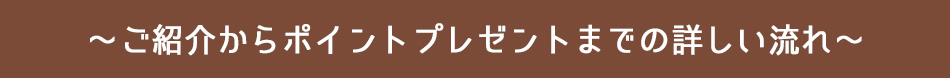 紹介からポイントプレゼントの流れ